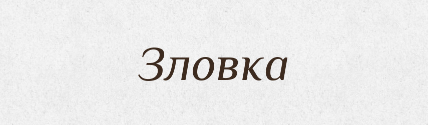 Зловка — Російсько-український академічний словник (А–П)