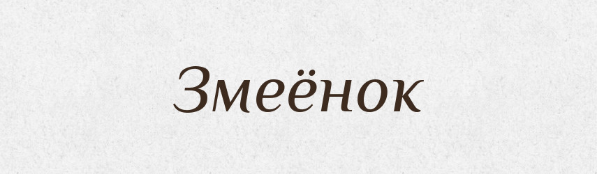 Змеёнок — Російсько-український академічний словник (А–П)
