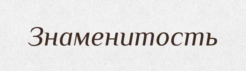Знаменитость — Російсько-український академічний словник (А–П)