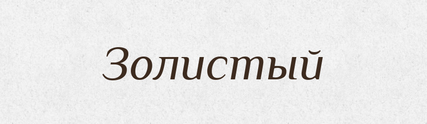 Золистый — Російсько-український академічний словник (А–П)