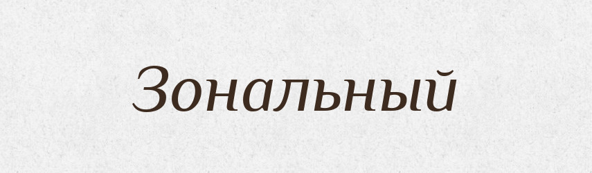 Зональный — Російсько-український академічний словник (А–П)