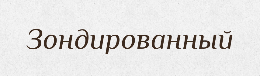 Зондированный — Російсько-український академічний словник (А–П)