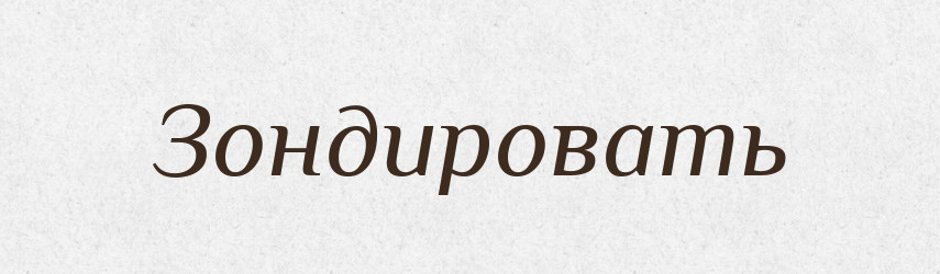 Зондировать — Російсько-український академічний словник (А–П)