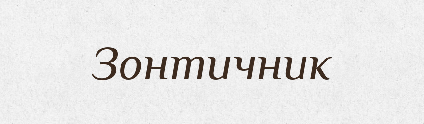 Зонтичник — Російсько-український академічний словник (А–П)