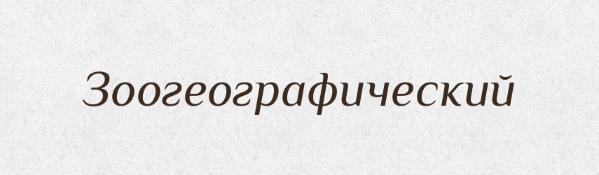 Зоогеографический — Російсько-український академічний словник (А–П)