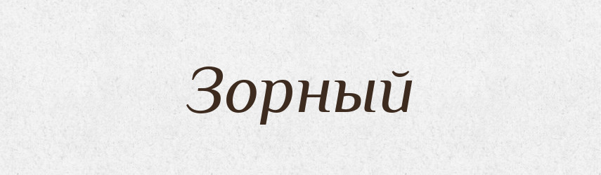Зорный — Російсько-український академічний словник (А–П)