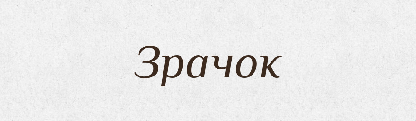 Зрачок — Російсько-український академічний словник (А–П)