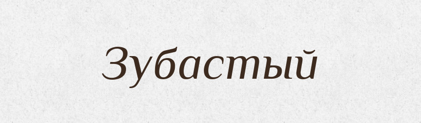 Зубастый — Російсько-український академічний словник (А–П)