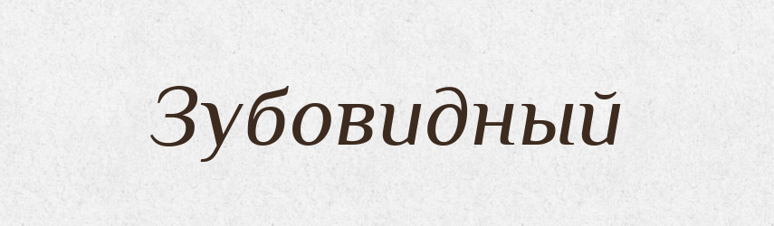 Зубовидный — Російсько-український академічний словник (А–П)