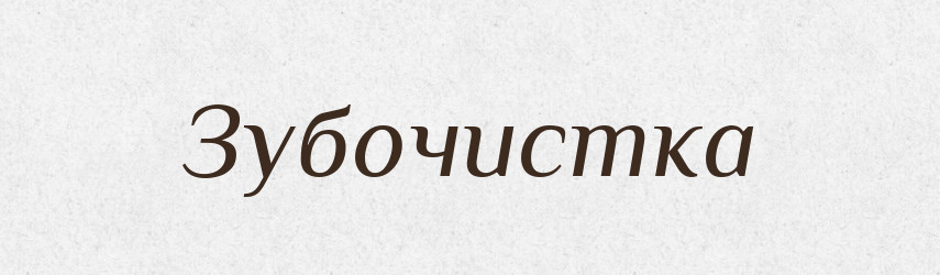 Зубочистка — Російсько-український академічний словник (А–П)