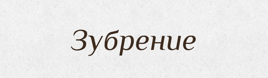 Зубрение — Російсько-український академічний словник (А–П)