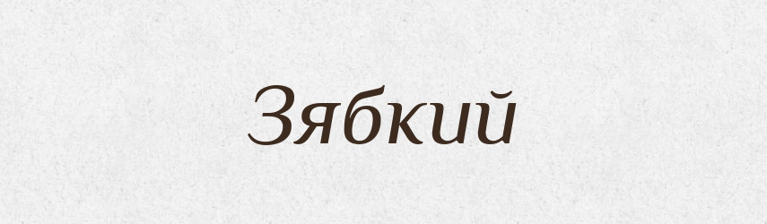 Зябкий — Російсько-український академічний словник (А–П)
