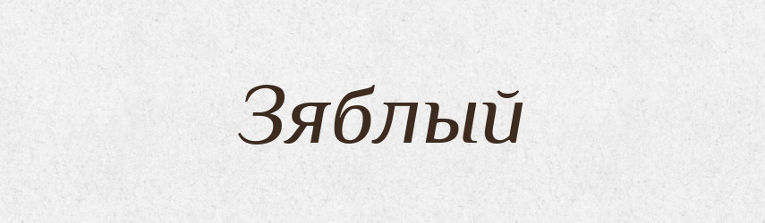 Зяблый — Російсько-український академічний словник (А–П)