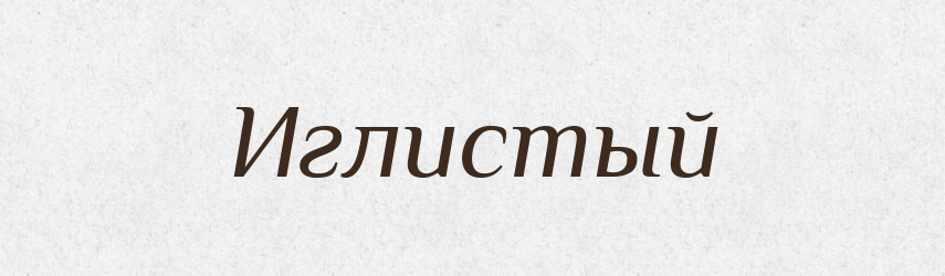 Иглистый — Російсько-український академічний словник (А–П)