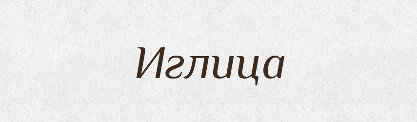Иглица — Російсько-український академічний словник (А–П)