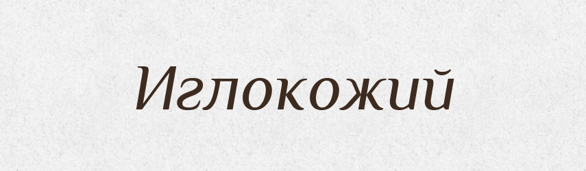 Иглокожий — Російсько-український академічний словник (А–П)