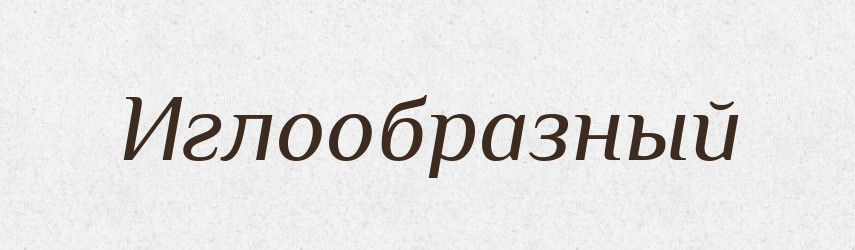 Иглообразный — Російсько-український академічний словник (А–П)