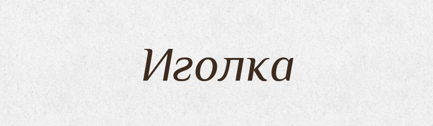 Иголка — Російсько-український академічний словник (А–П)