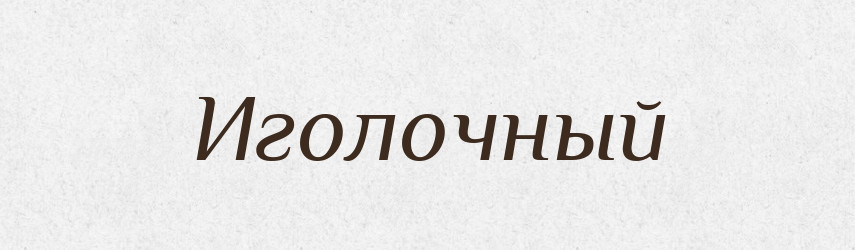 Иголочный — Російсько-український академічний словник (А–П)