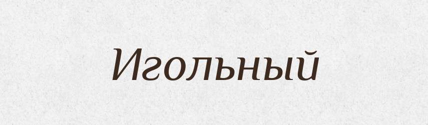 Игольный — Російсько-український академічний словник (А–П)