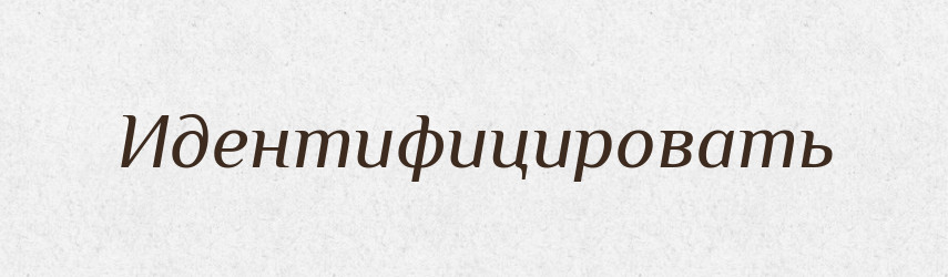 Идентифицировать — Російсько-український академічний словник (А–П)