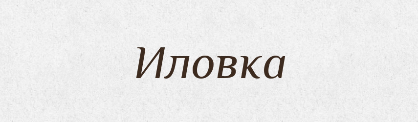 Иловка — Російсько-український академічний словник (А–П)