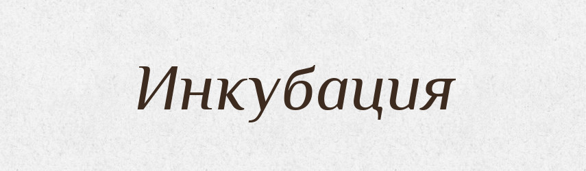 Инкубация — Російсько-український академічний словник (А–П)