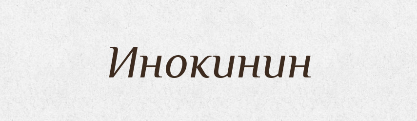 Инокинин — Російсько-український академічний словник (А–П)