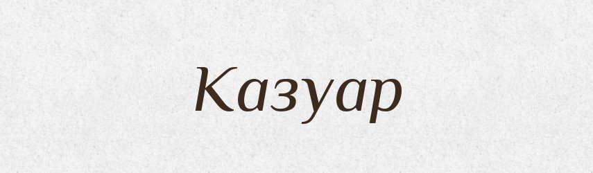 Казуар — Російсько-український академічний словник (А–П)