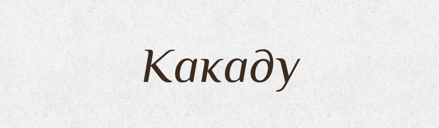 Какаду — Російсько-український академічний словник (А–П)