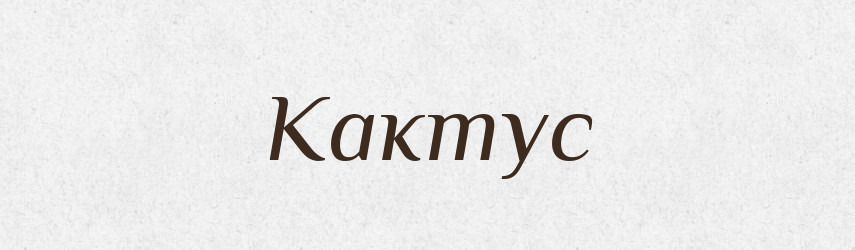 Кактус — Російсько-український академічний словник (А–П)