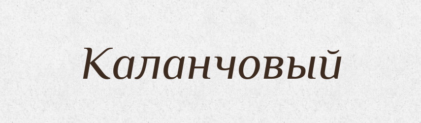 Каланчовый — Російсько-український академічний словник (А–П)