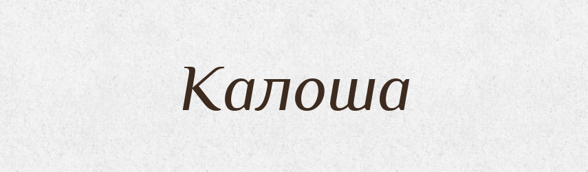 Калоша — Російсько-український академічний словник (А–П)