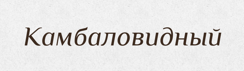Камбаловидный — Російсько-український академічний словник (А–П)