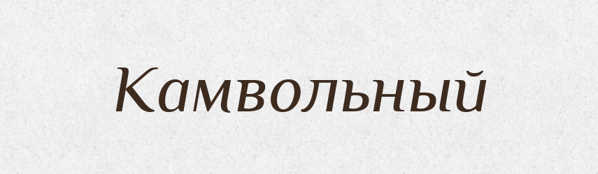Камвольный — Російсько-український академічний словник (А–П)