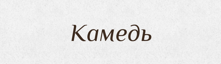 Камедь — Російсько-український академічний словник (А–П)
