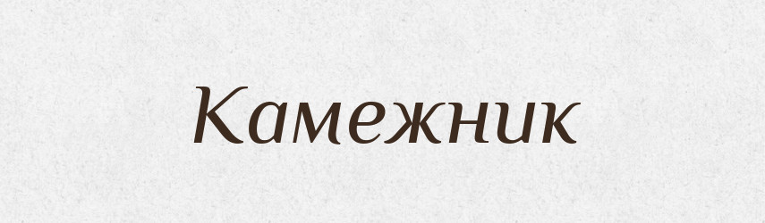 Камежник — Російсько-український академічний словник (А–П)