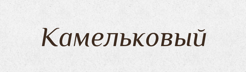 Камельковый — Російсько-український академічний словник (А–П)