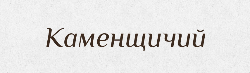 Каменщичий — Російсько-український академічний словник (А–П)