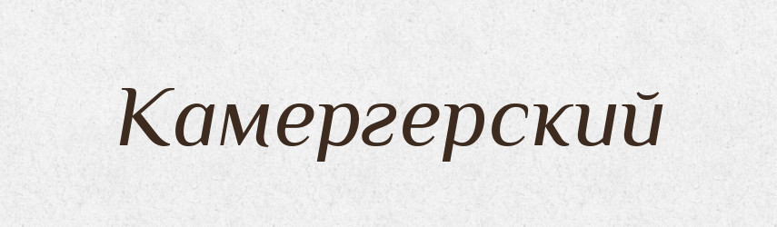 Камергерский — Російсько-український академічний словник (А–П)