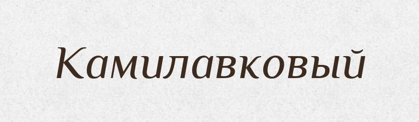 Камилавковый — Російсько-український академічний словник (А–П)