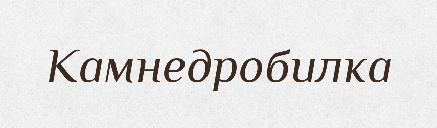 Камнедробилка — Російсько-український академічний словник (А–П)