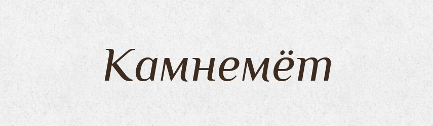 Камнемёт — Російсько-український академічний словник (А–П)