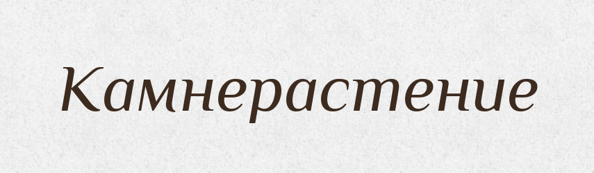 Камнерастение — Російсько-український академічний словник (А–П)