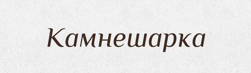 Камнешарка — Російсько-український академічний словник (А–П)