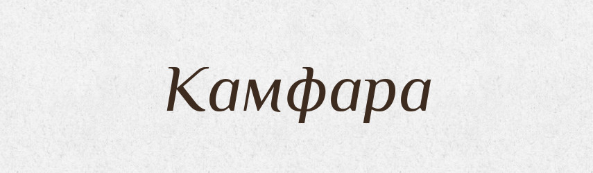 Камфара — Російсько-український академічний словник (А–П)