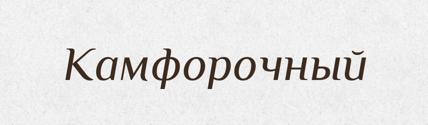Камфорочный — Російсько-український академічний словник (А–П)