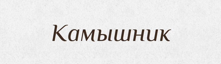 Камышник — Російсько-український академічний словник (А–П)