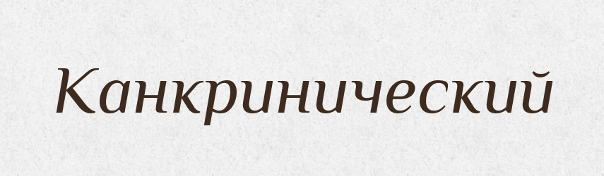 Канкринический — Російсько-український академічний словник (А–П)