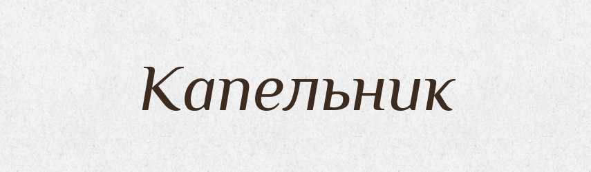 Капельник — Російсько-український академічний словник (А–П)